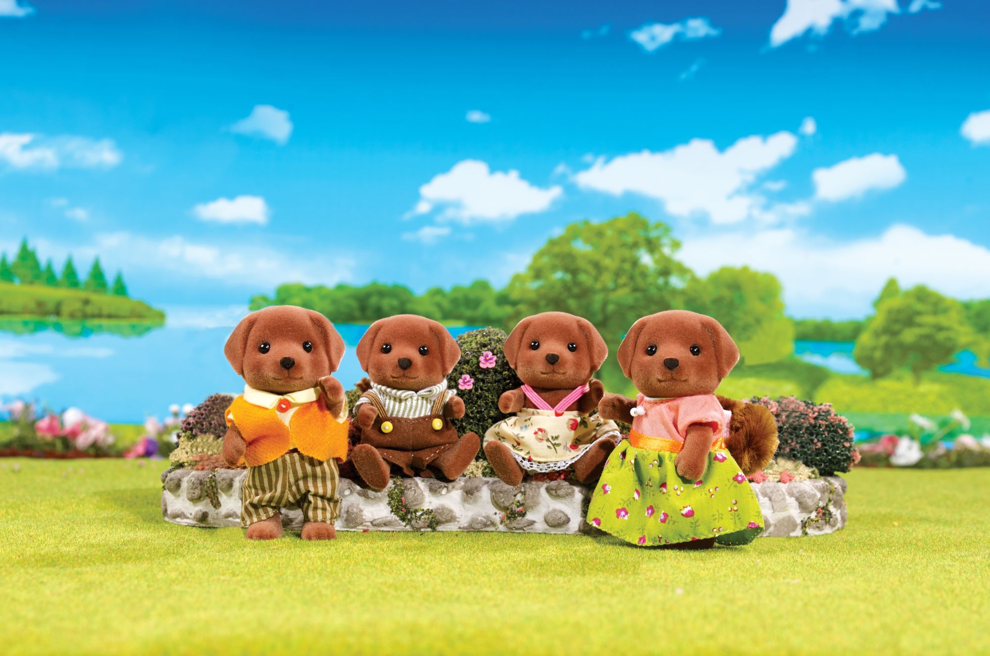 Chocolate Labrador Family