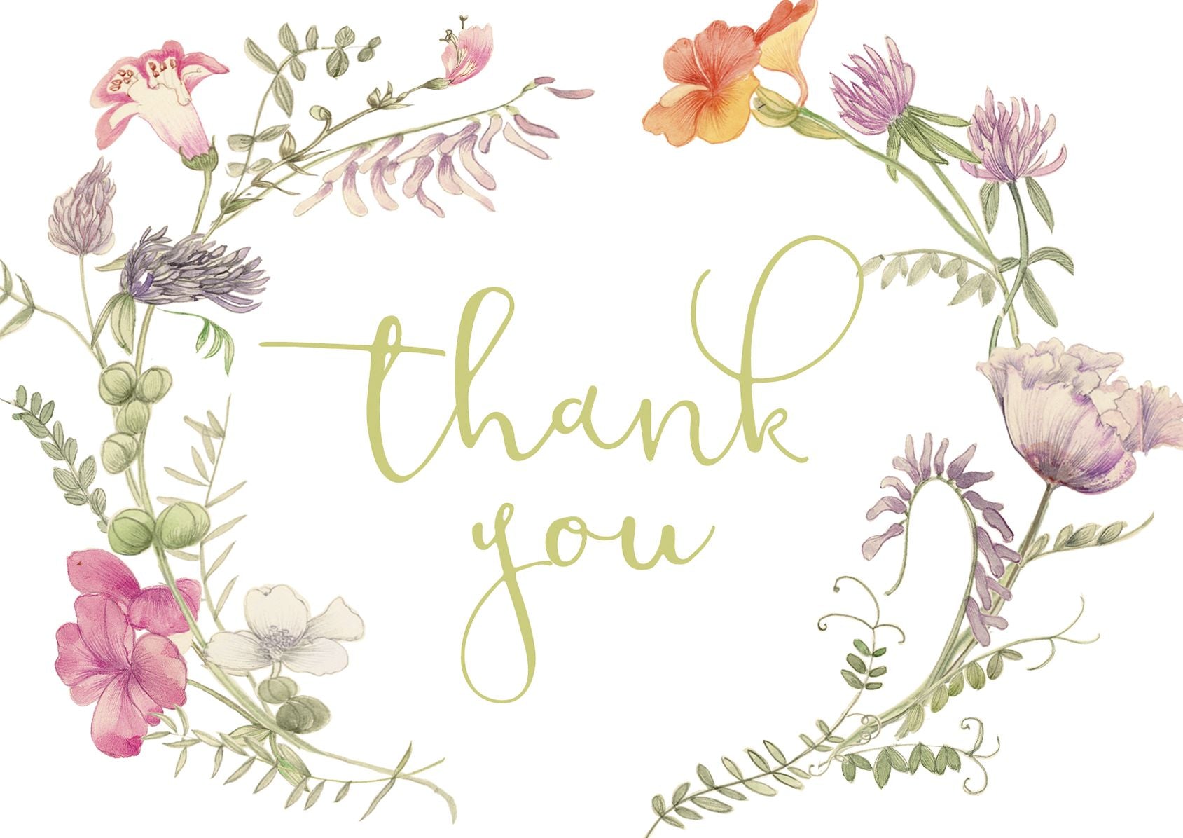 French Floral Thank You Boxed Notecards Set of 8