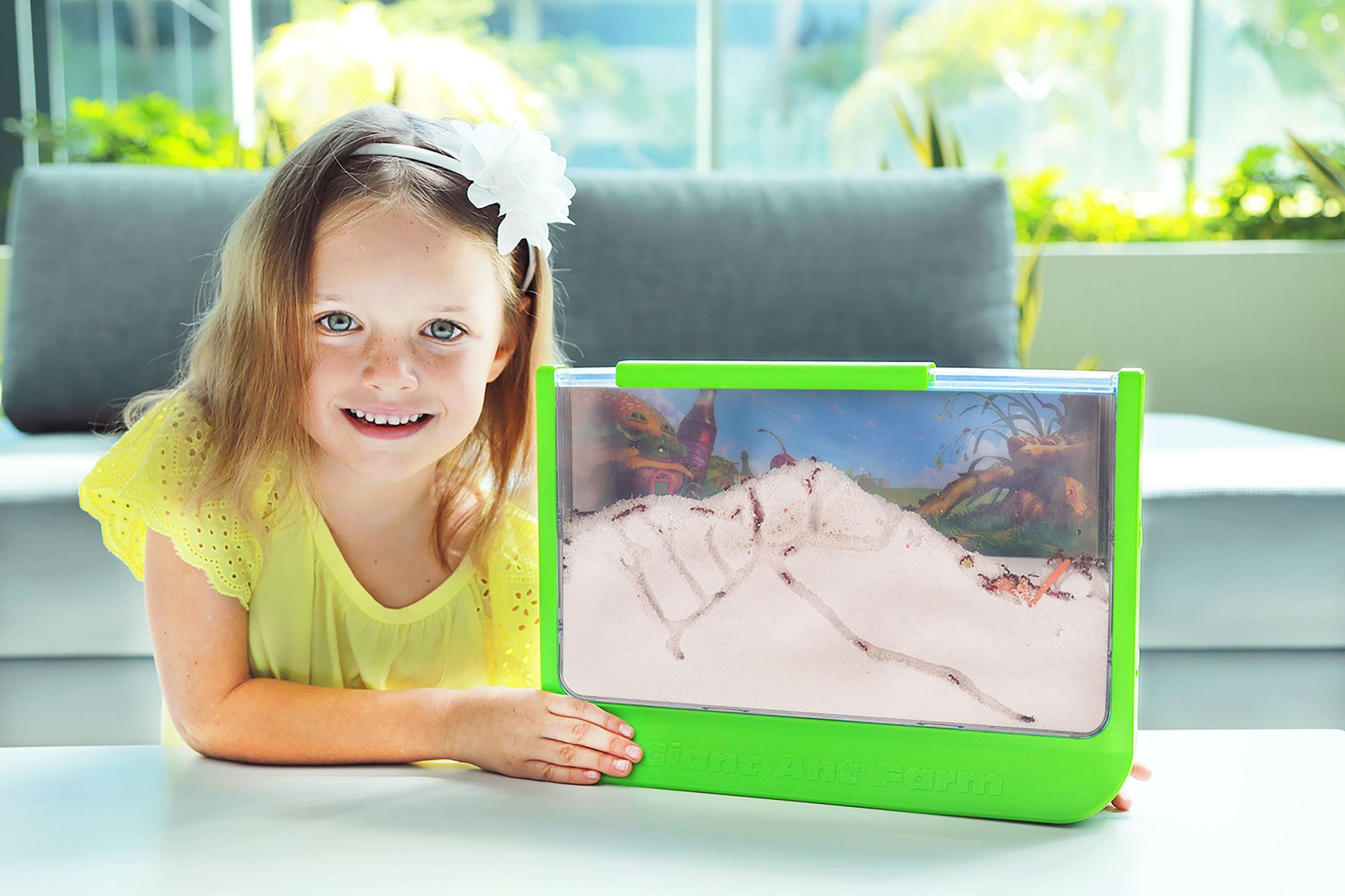 Giant Ant Farm
