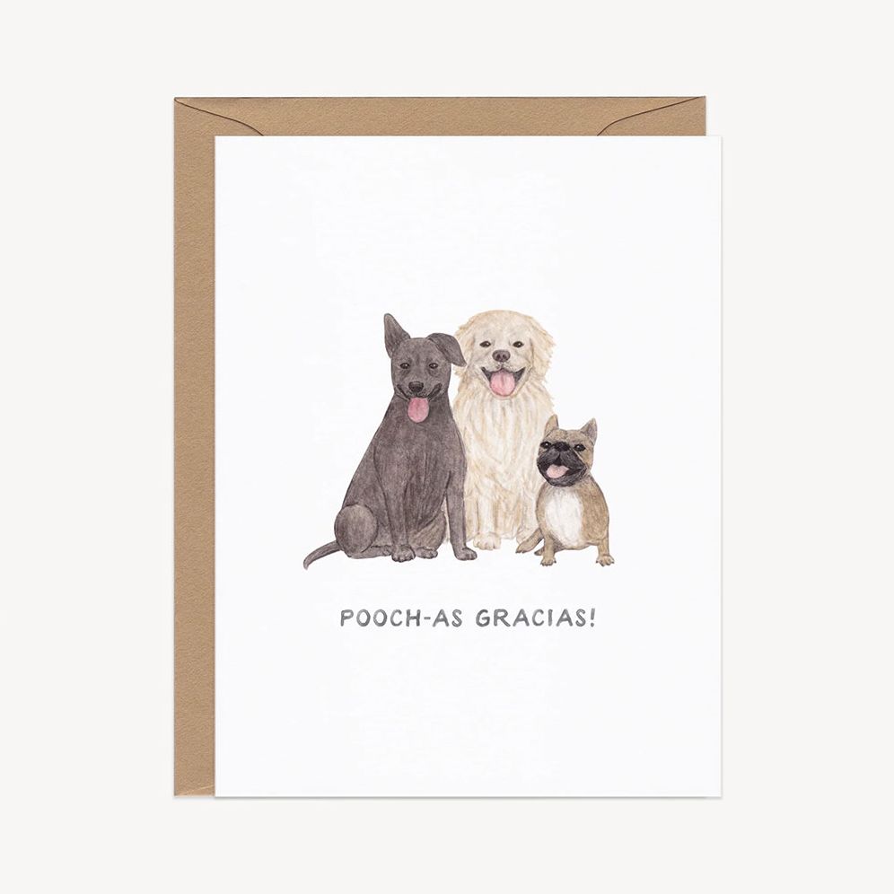 TYOU Pooch-as Gracias