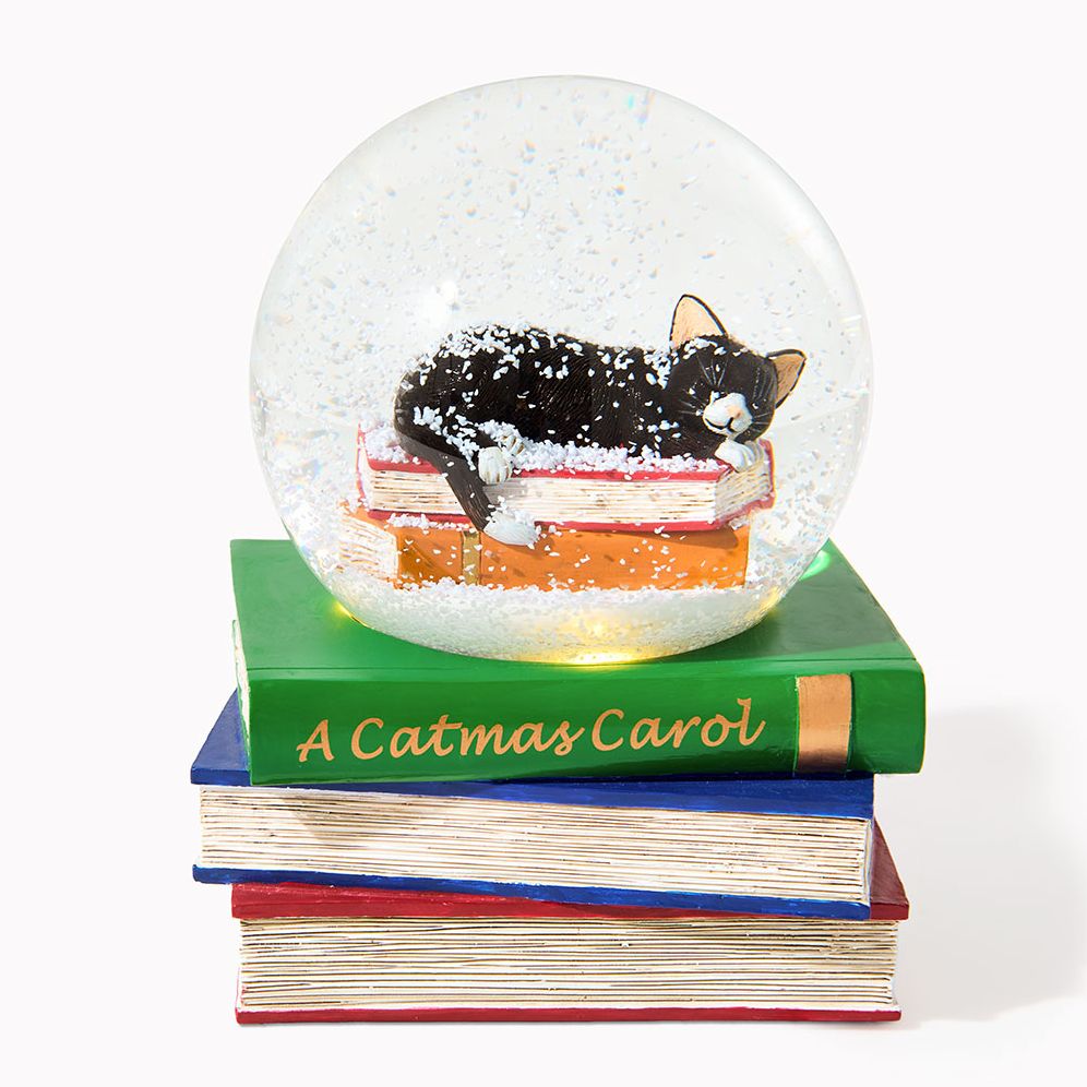 Sleepy Cat & Books Snow Globe