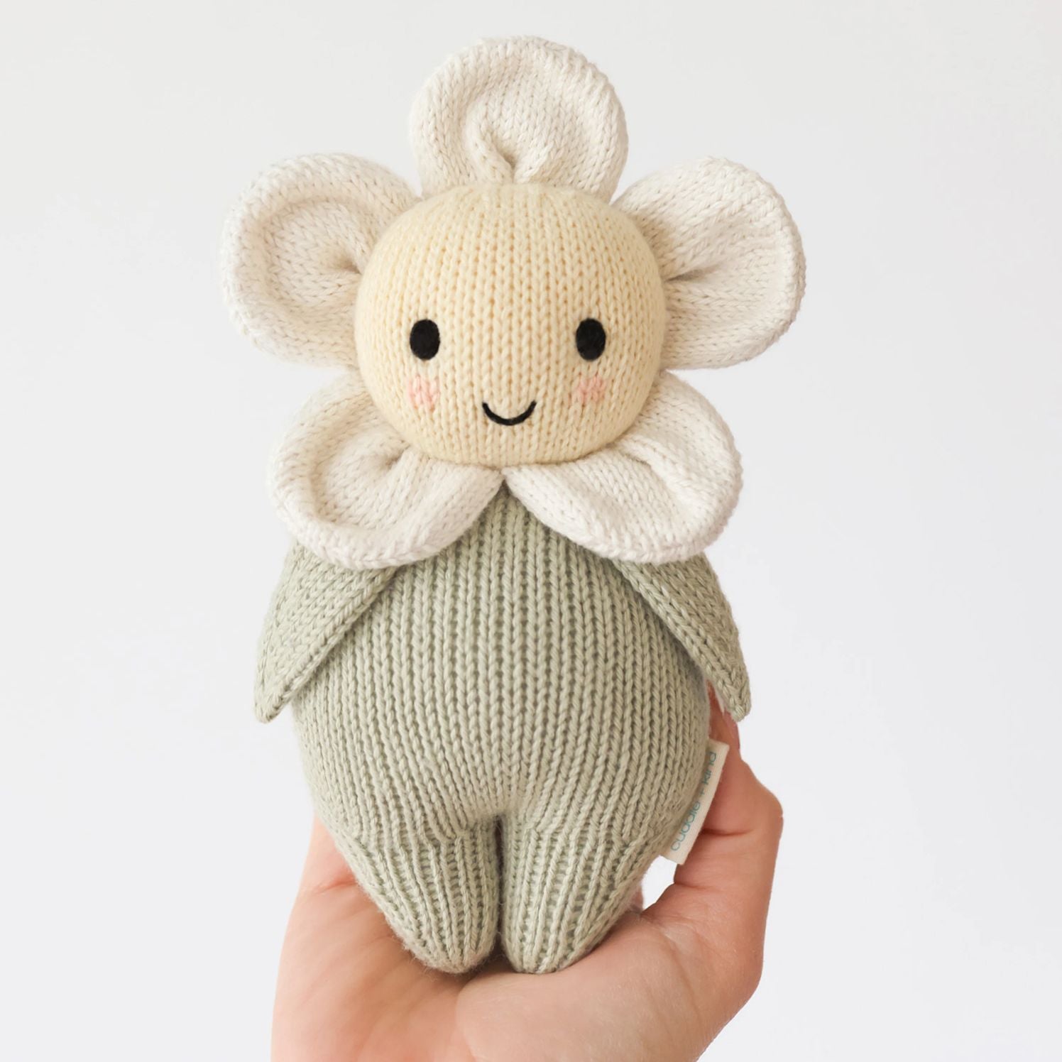 Baby Daisy (ivory)