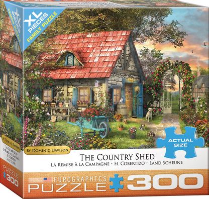 Country Shed by Dominic Davison