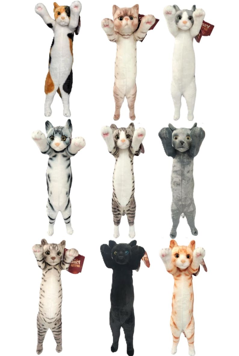 CRAZY KITTEN MEDIUM STANDING CAT