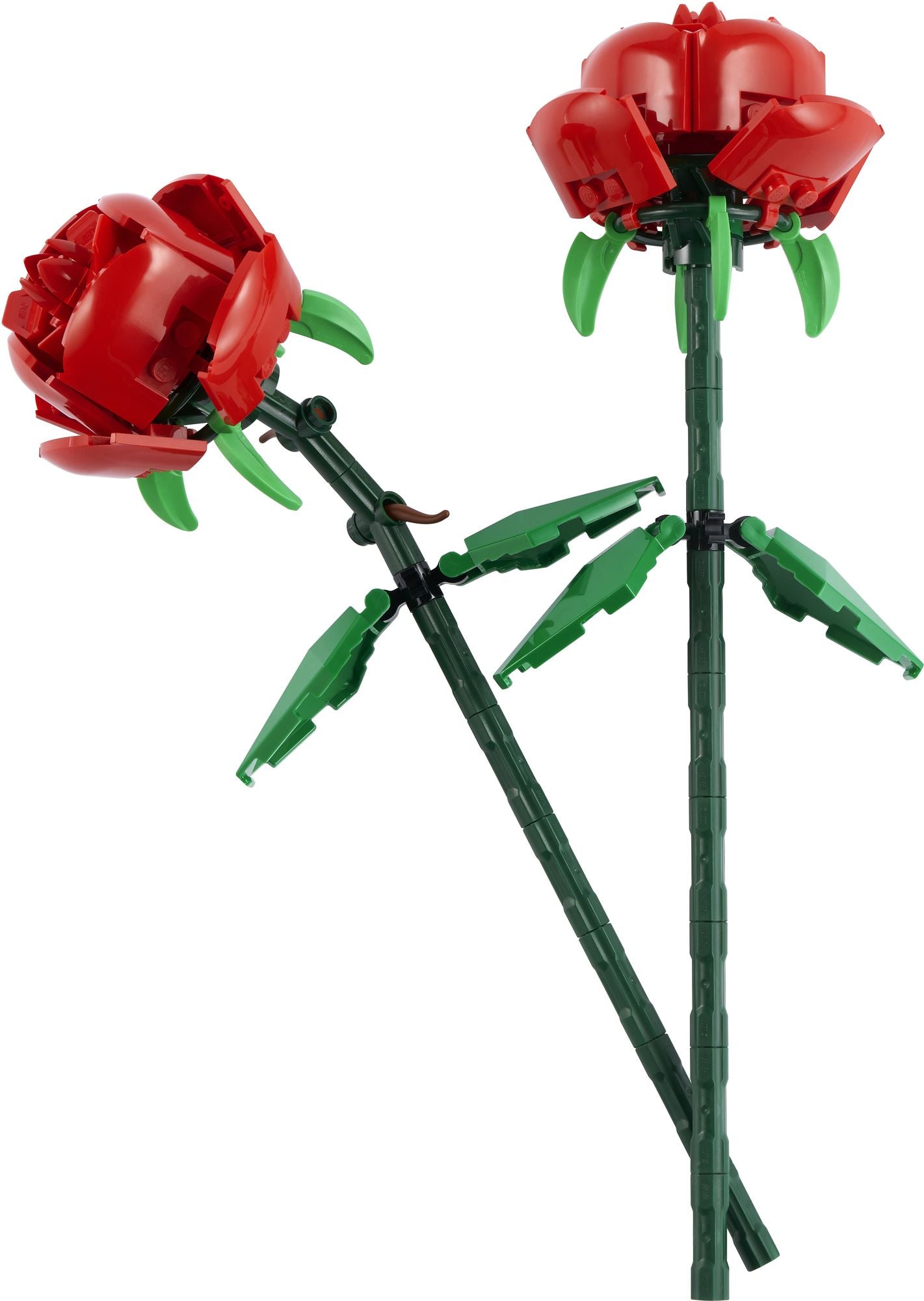 LEGO Botanicals Roses 40460