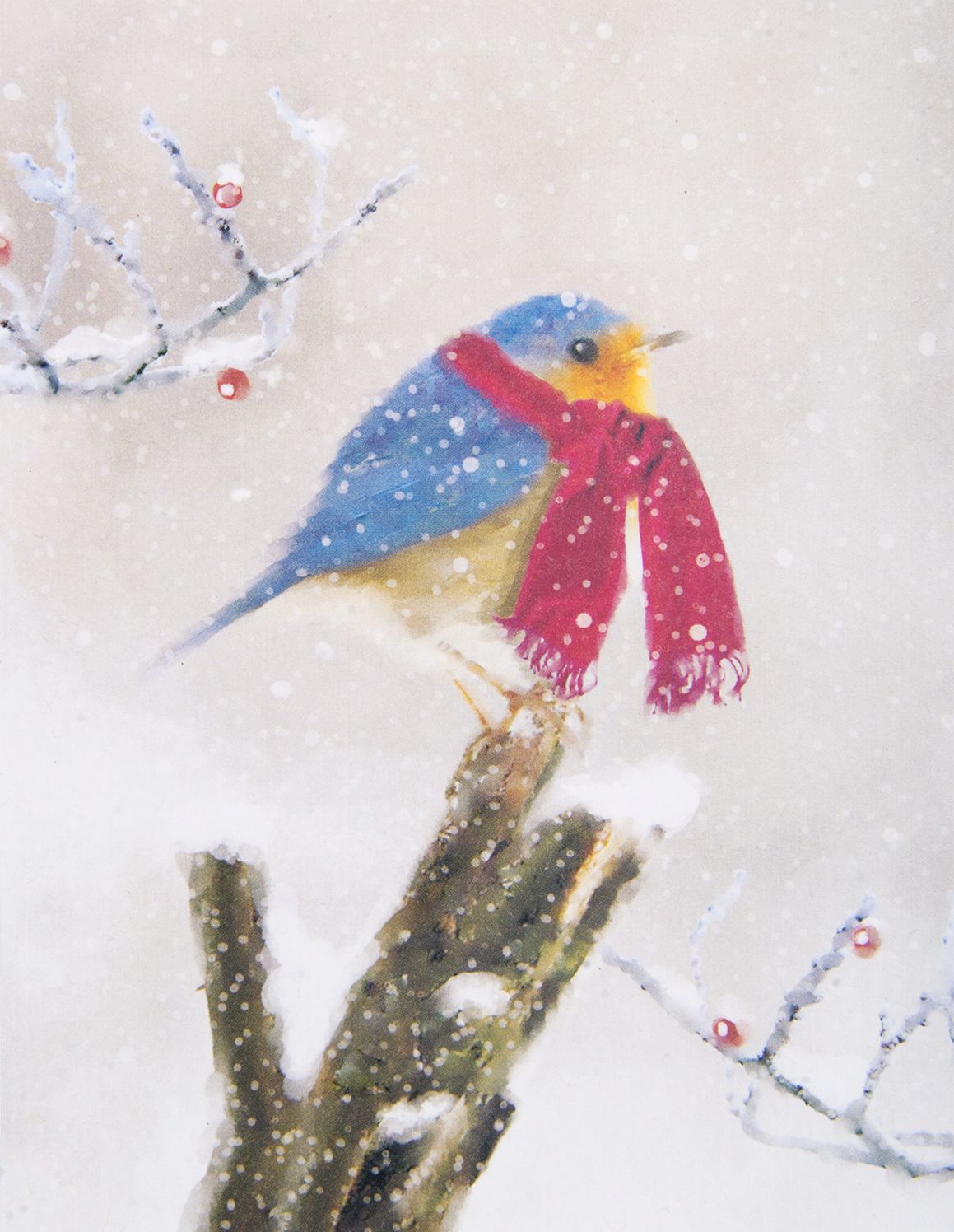 Holiday Boxed Cards Cozy Chickadee with Scarf