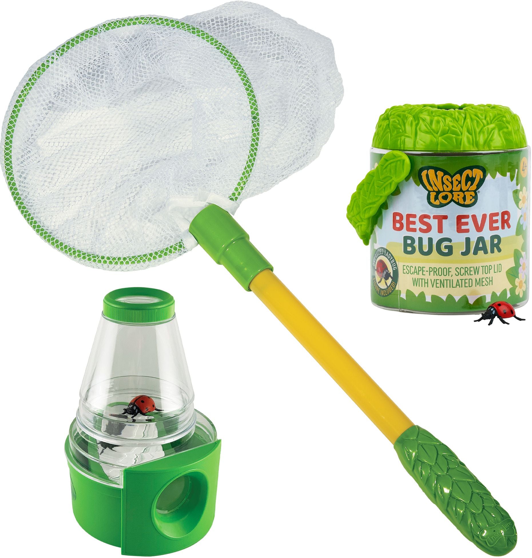 Little Bug Explorer
