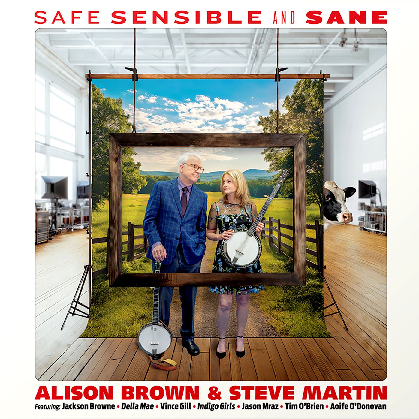 Safe, Sensible and Sane