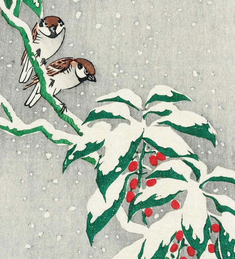 Snow Birds Flying Wish Paper