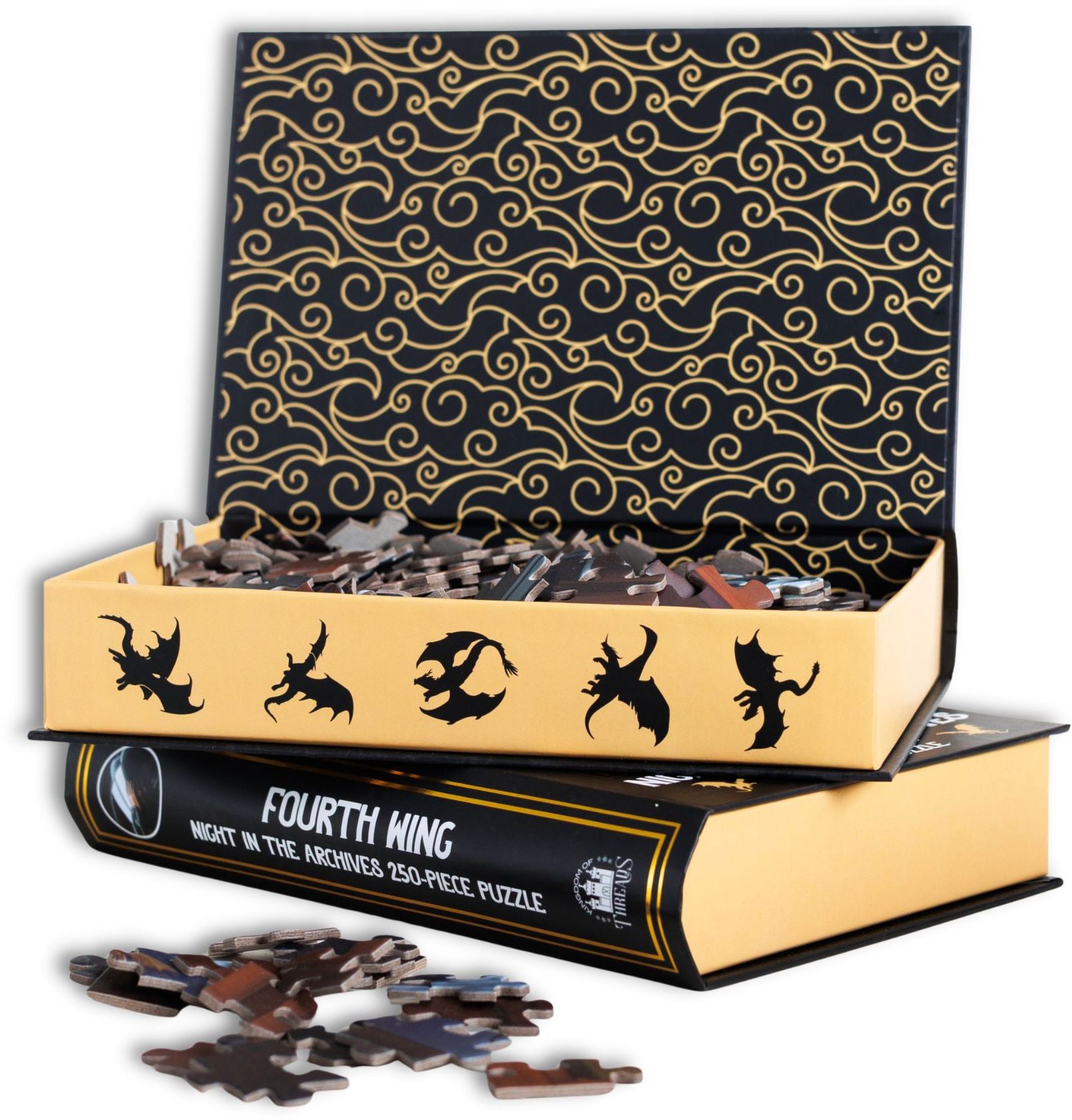 Fourth Wing Night in the Archives 250-Piece Puzzle