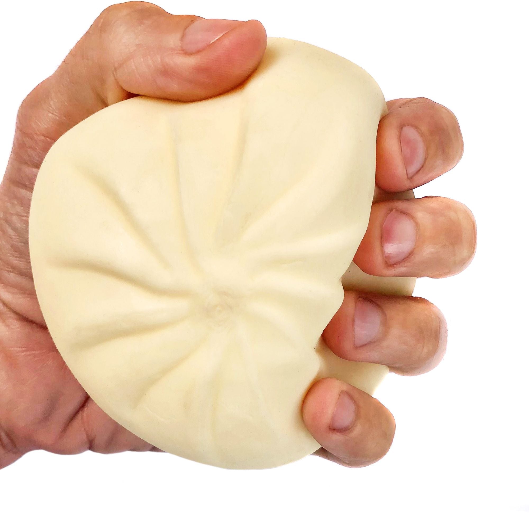 Squishy Dumpling