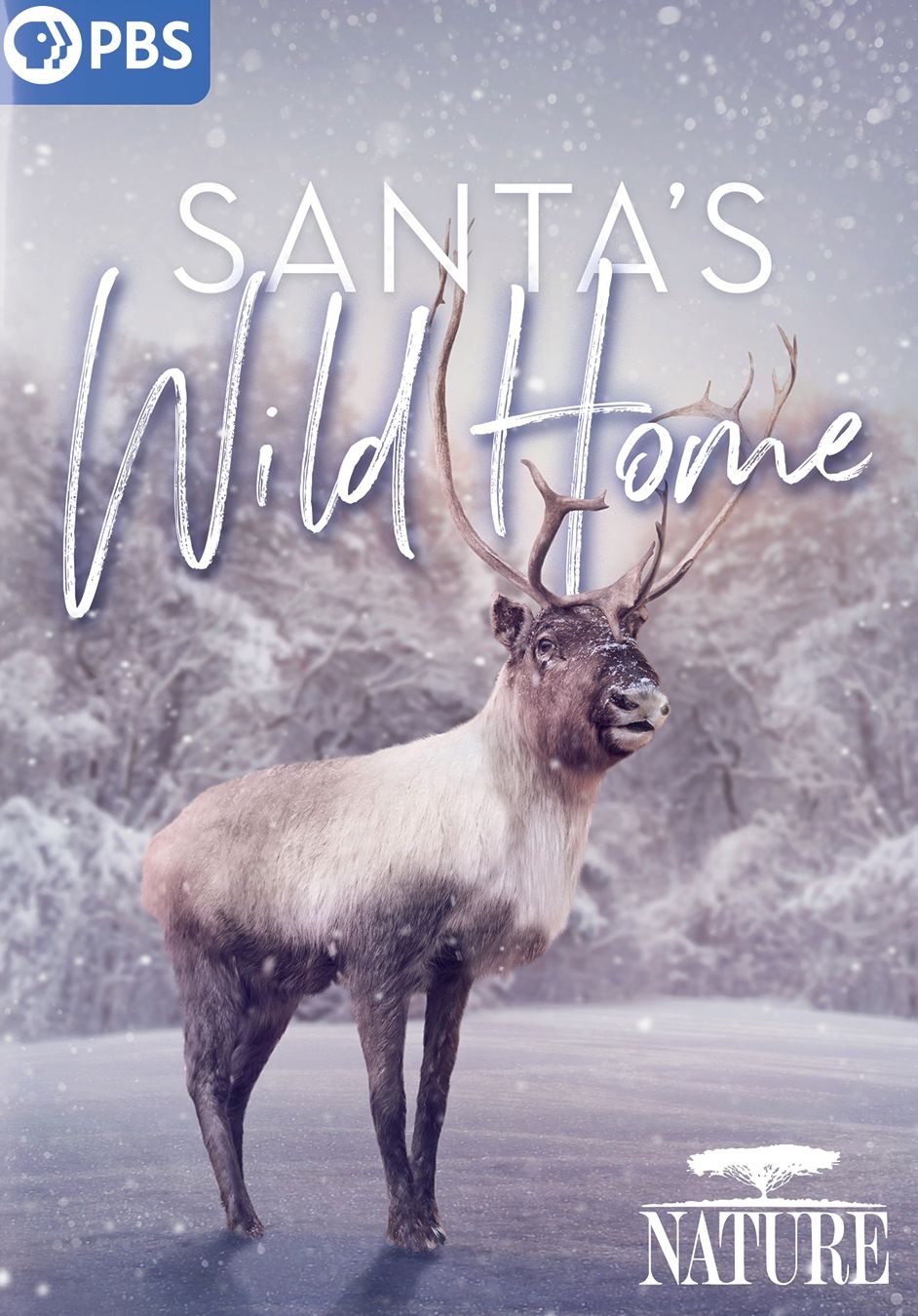 Nature: Santa's Wild Home
