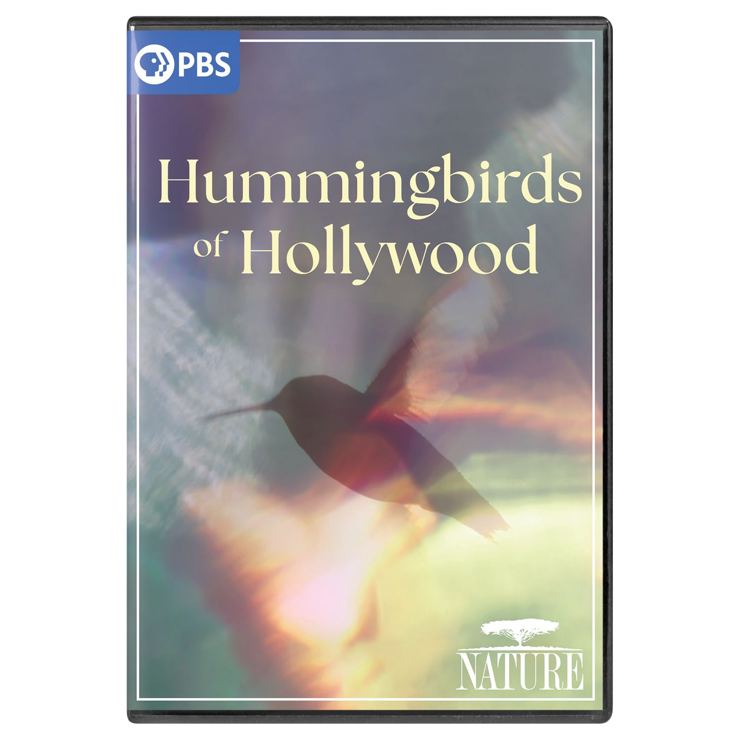 Nature: Hummingbirds of Hollywood