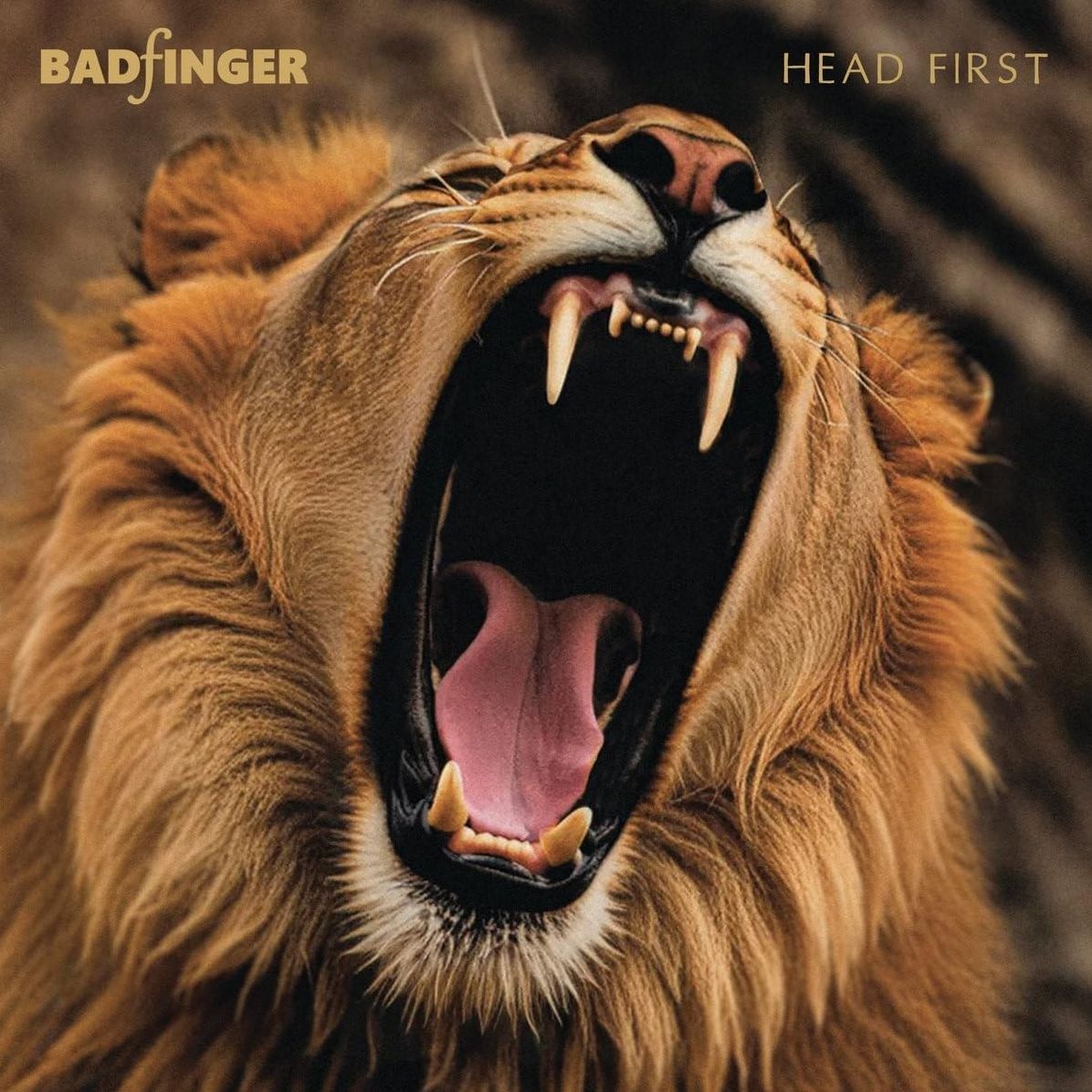 Head First