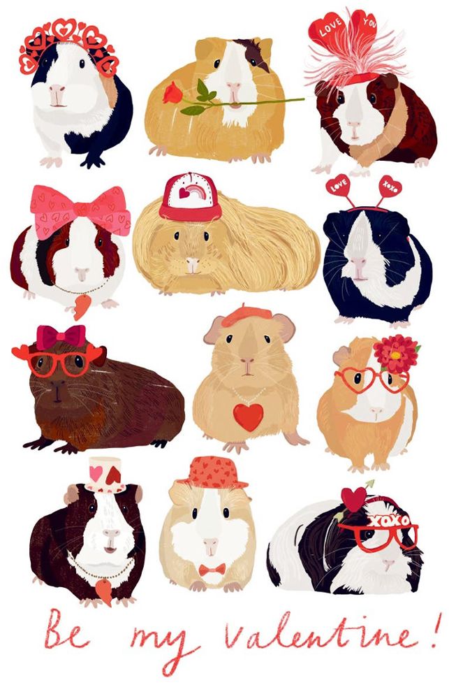 Guinea Pigs Be My Valentine Card