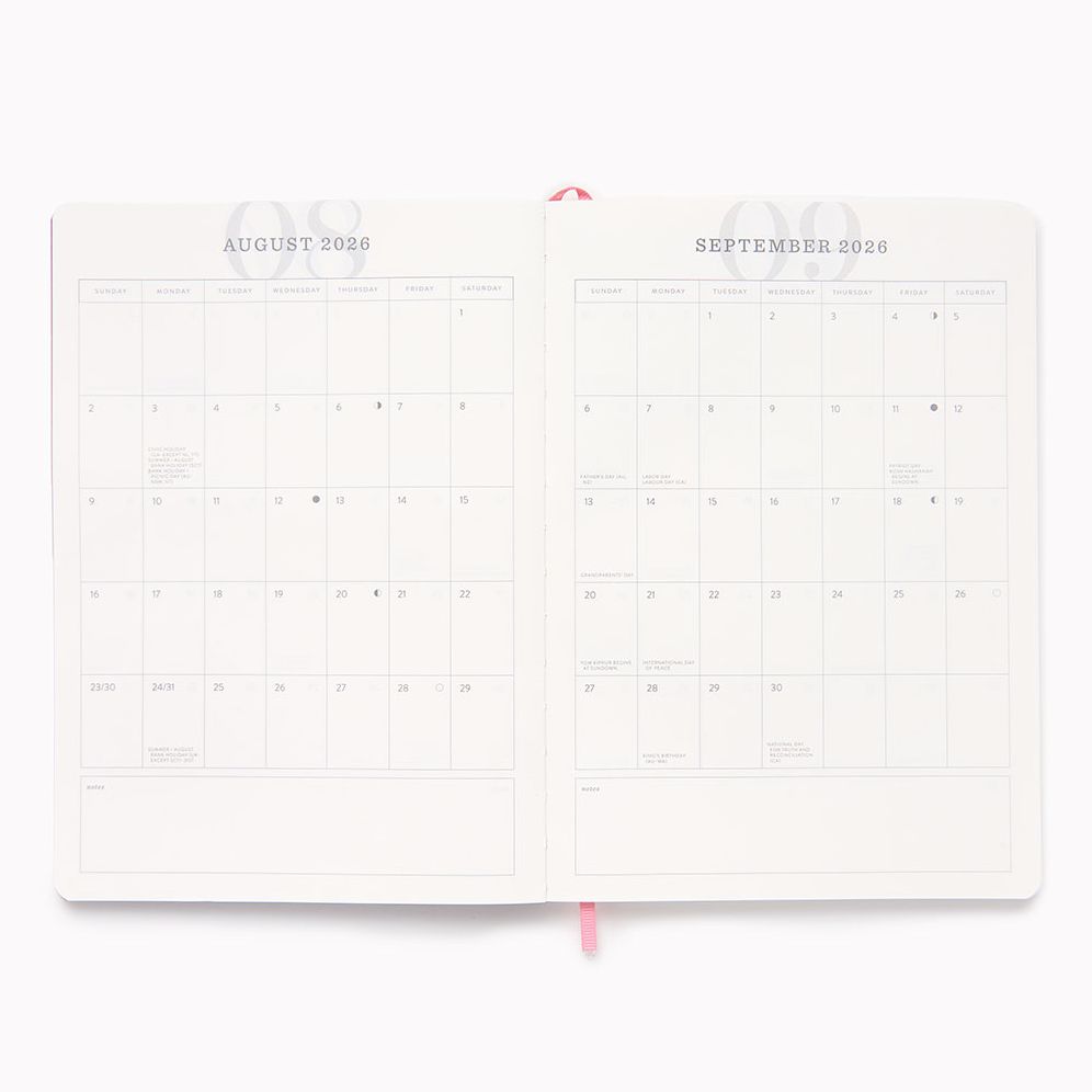 2026 Paper Source 12M Professional Weekly Desk Planner