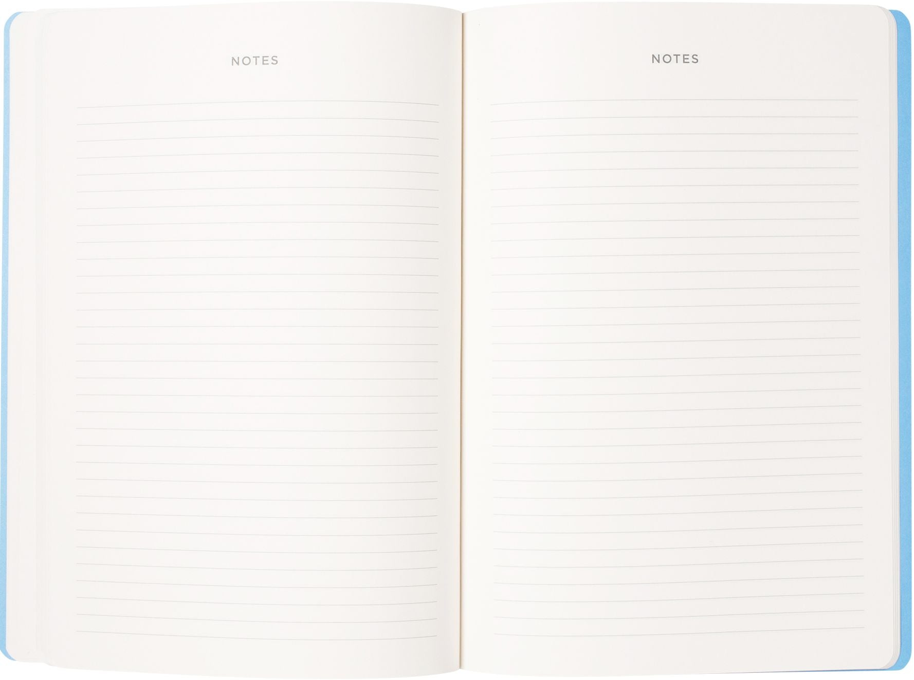 2026-2027 Painted Swans Monthly Desk Planner