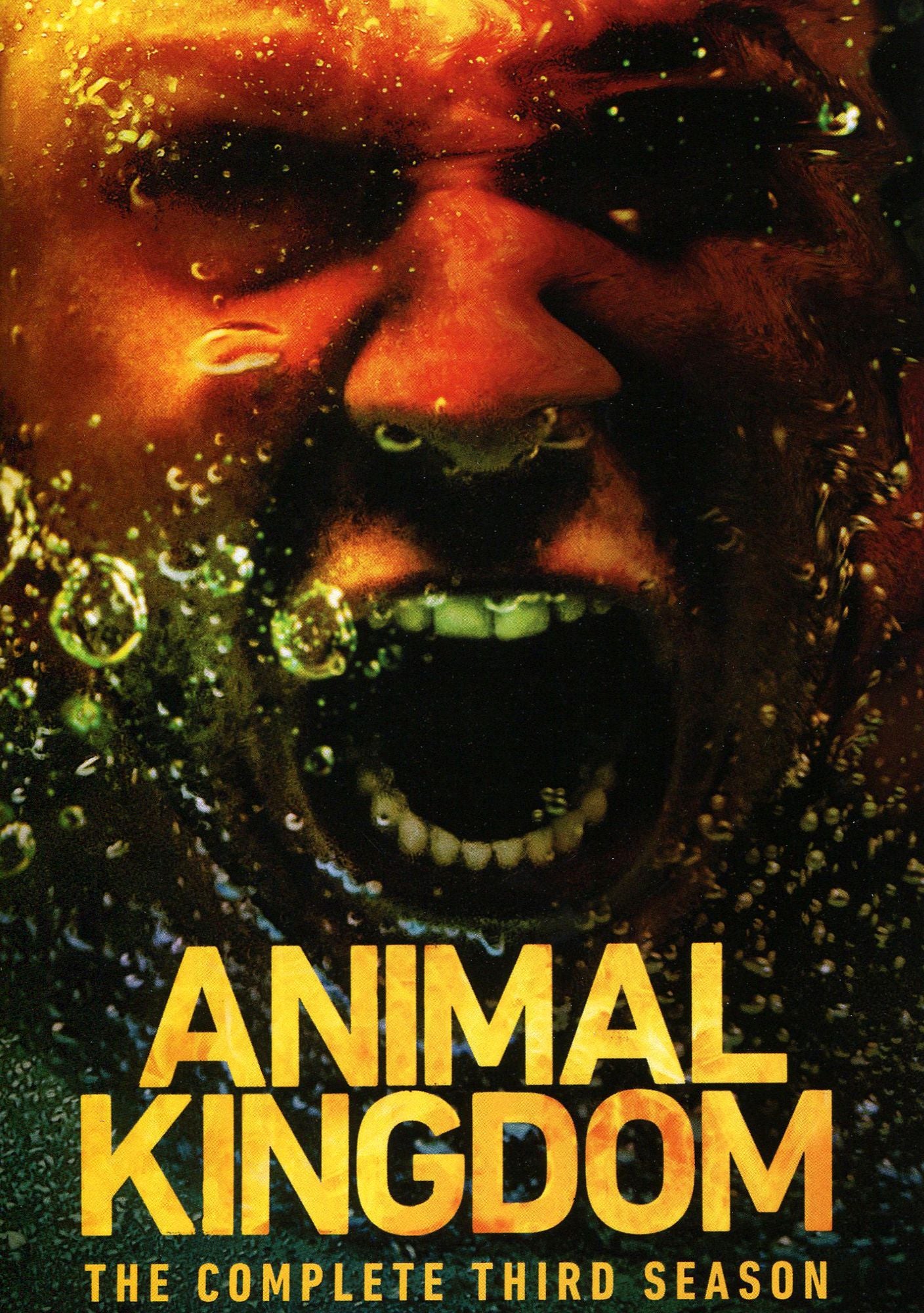 Animal Kingdom: the Complete Third Season