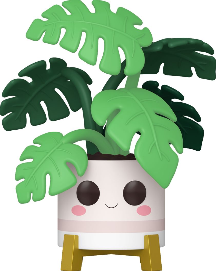 POP Plants: Flora: Monstera