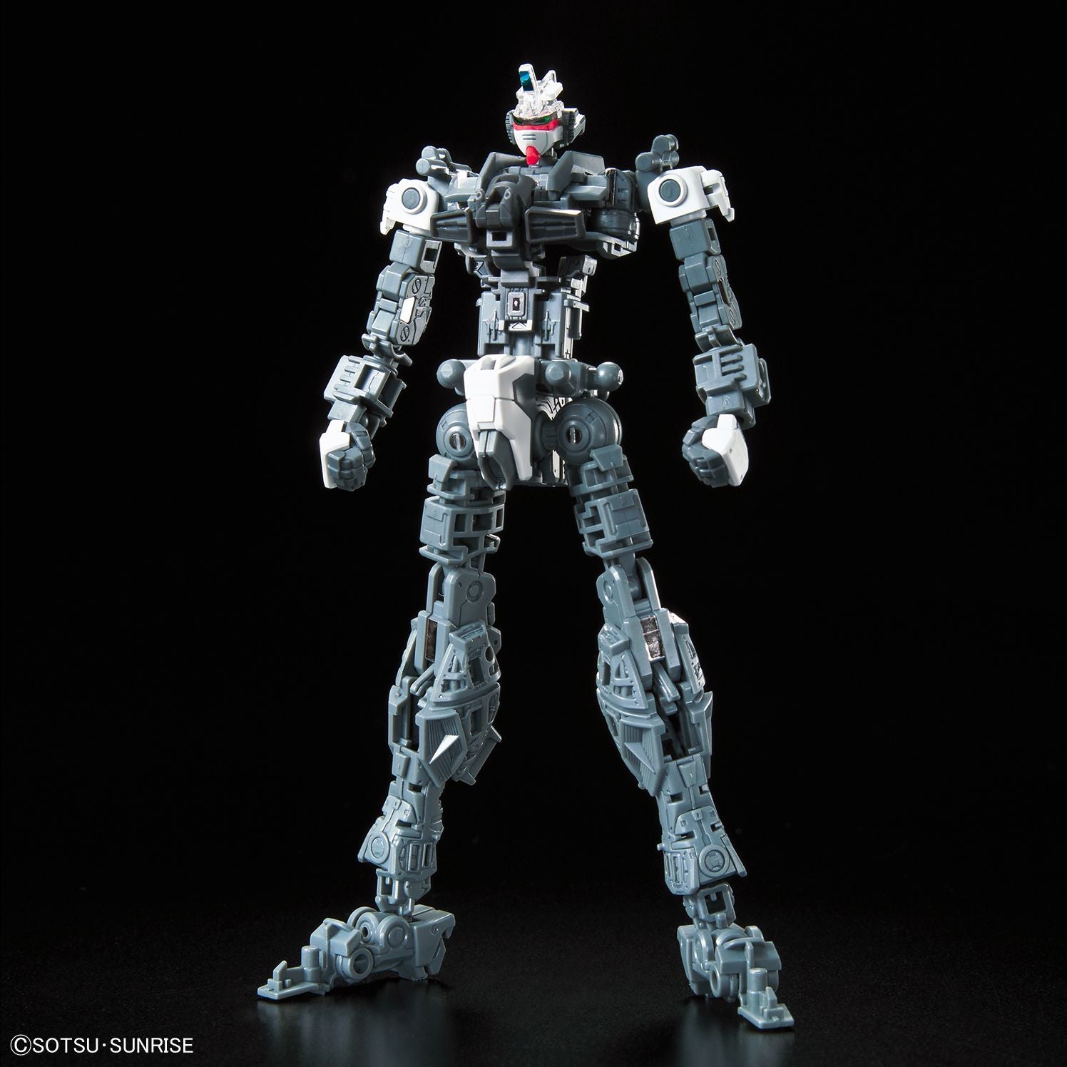 Force Impulse Gundam, Bandai Hobby RG 1/144