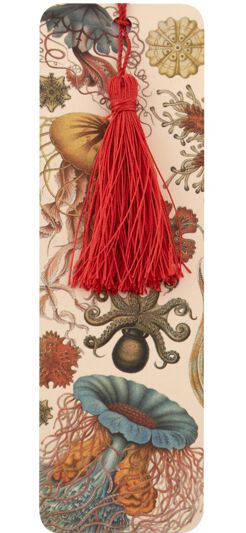 Archive Oceans Bookmark