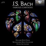 Bach: Famous Cantatas