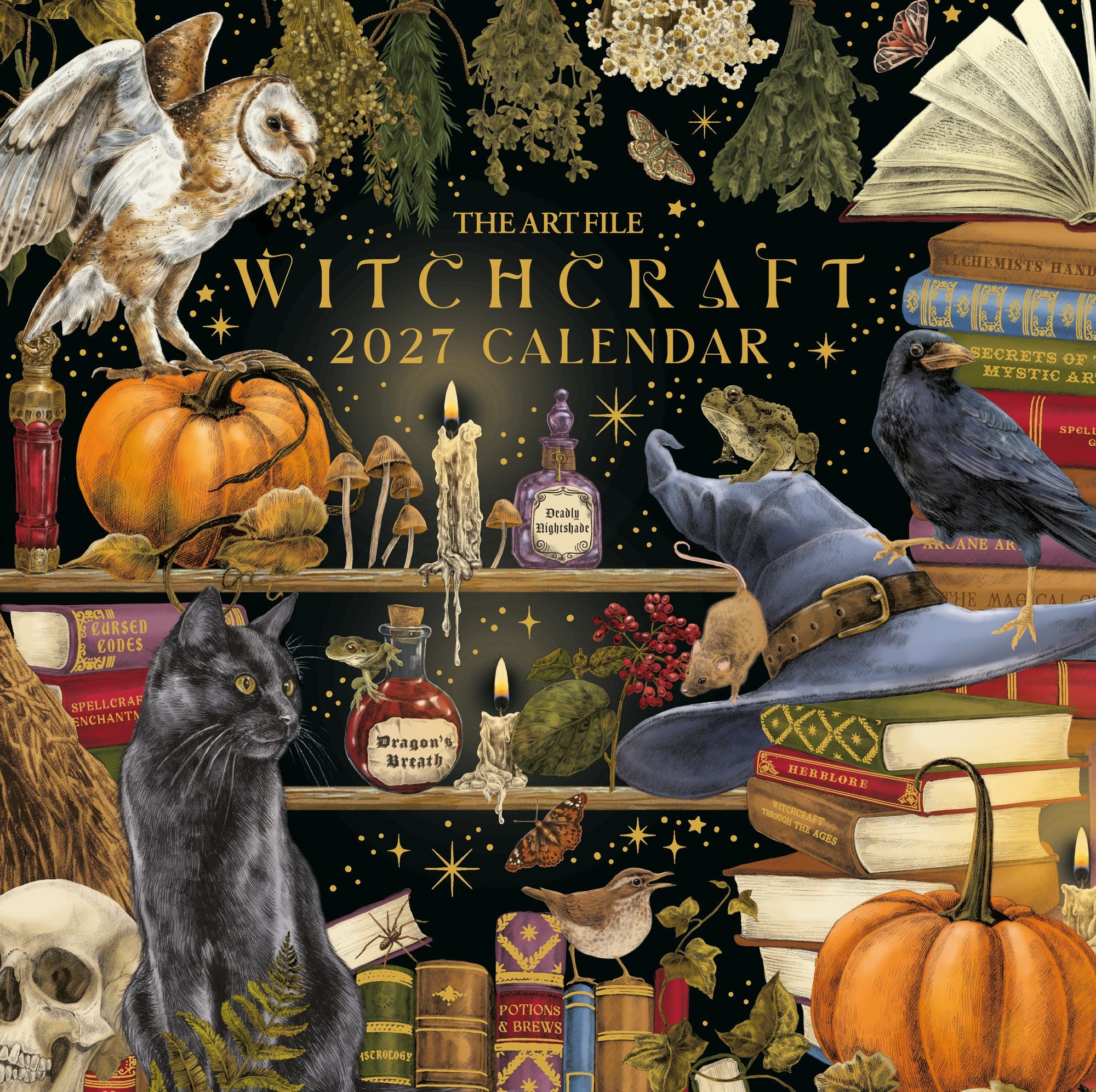 2027 Witchcraft Wall Calendar