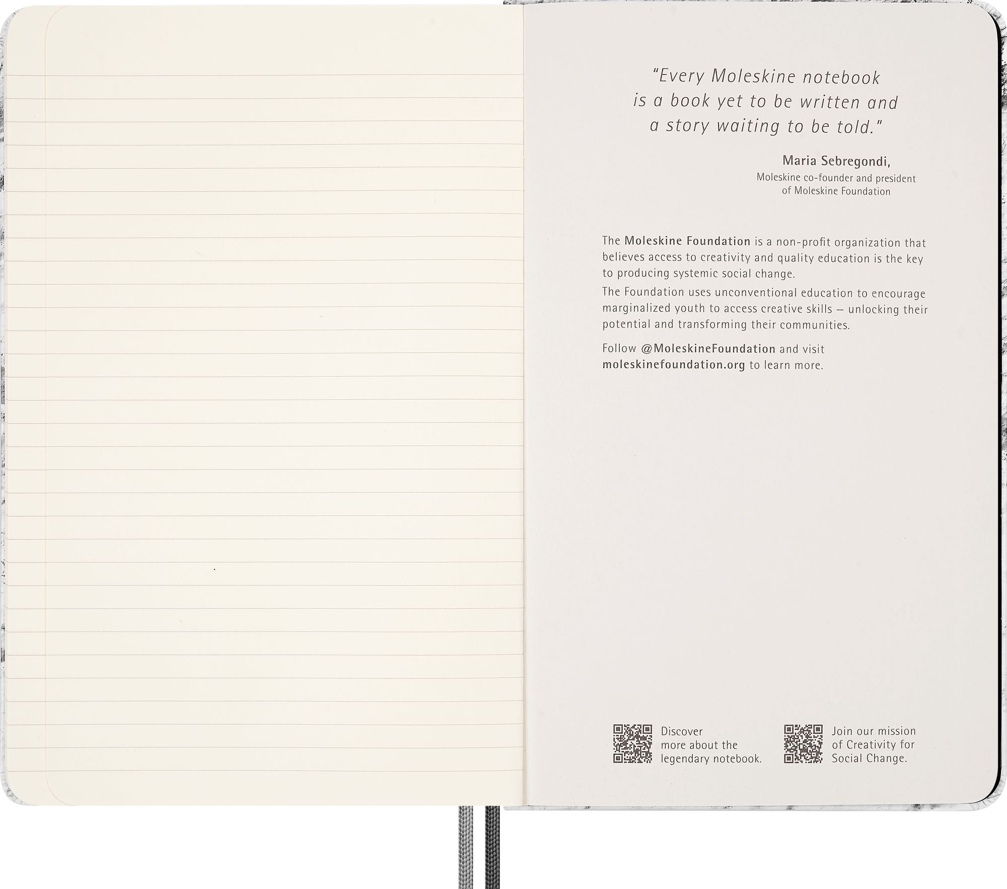 Moleskine Limited Edition NASA-inspired 'Moon surface' Notebook, Hard Cover, Large (5" x 8.25"), Ruled/Lined, Light Grey, 176 pages