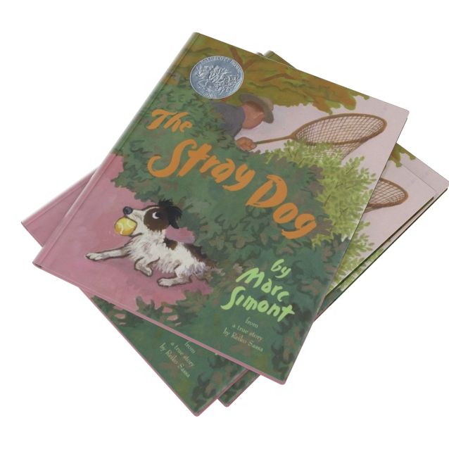 The Stray Dog (Caldecott Honor Book)
