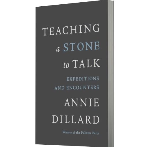 Teaching a Stone to Talk: Expeditions and Encounters