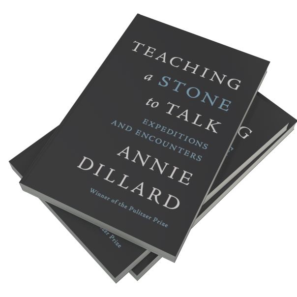 Teaching a Stone to Talk: Expeditions and Encounters