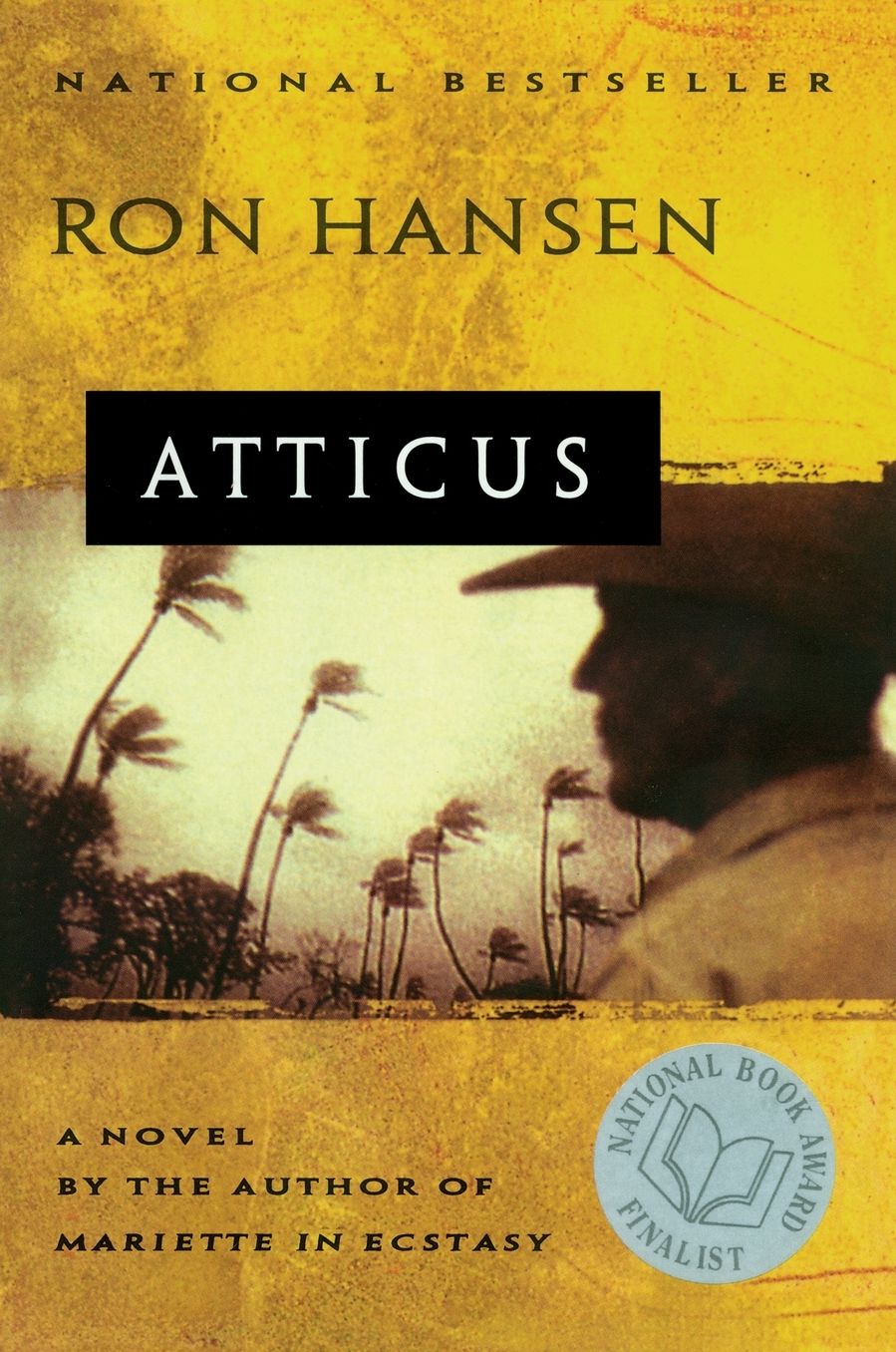 A Atticus: Novel