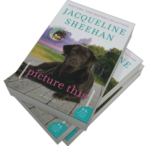 Picture This: A Novel