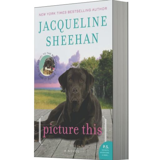 Picture This: A Novel