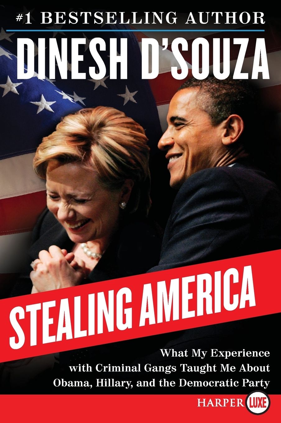 Stealing America: What My Experience with Criminal Gangs Taught Me About Obama, Hillary and the Democratic Party