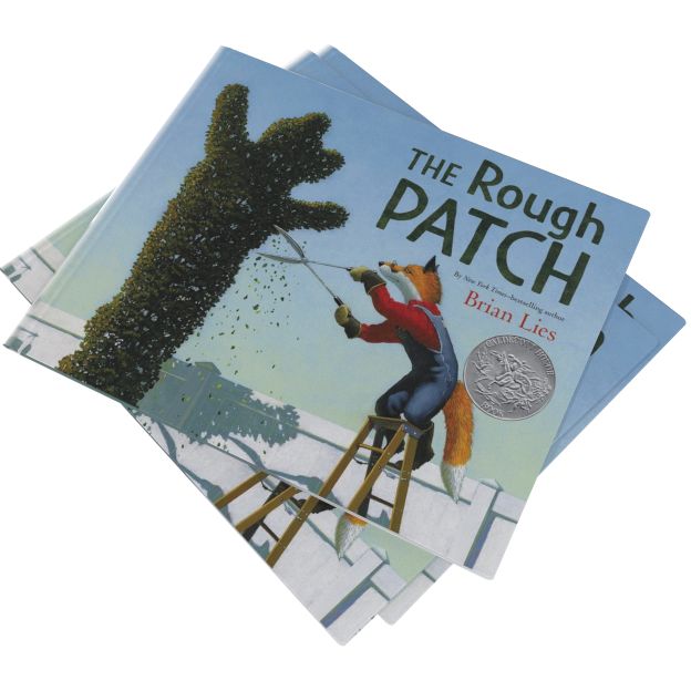The Rough Patch (Caldecott Honor Book)