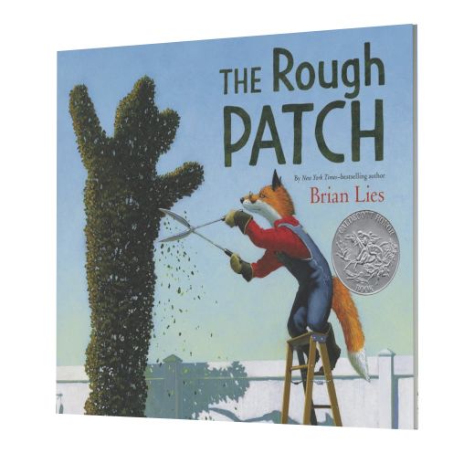The Rough Patch (Caldecott Honor Book)