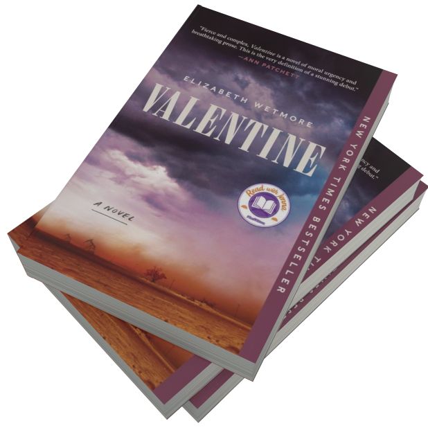 Valentine (A Read with Jenna Pick)