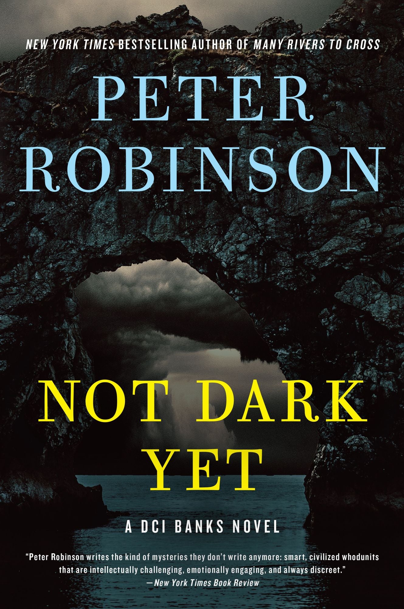 Not Dark Yet (Inspector Alan Banks Series #27)