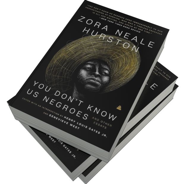 You Don't Know Us Negroes and Other Essays