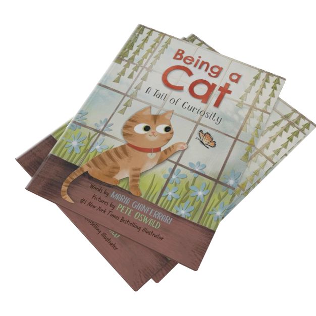 Being a Cat: A Tail of Curiosity