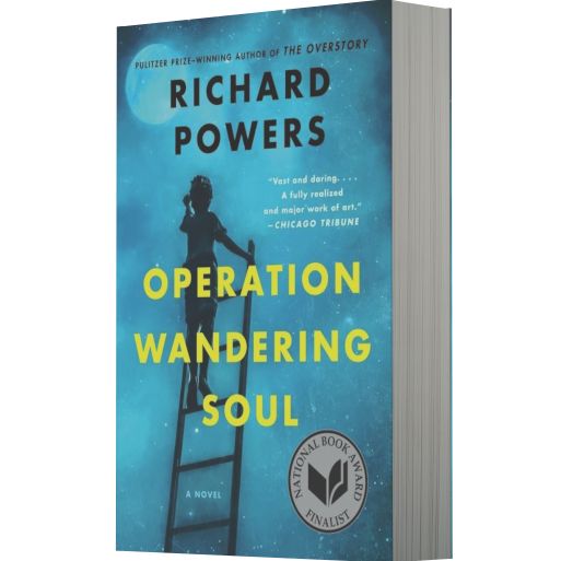 Operation Wandering Soul