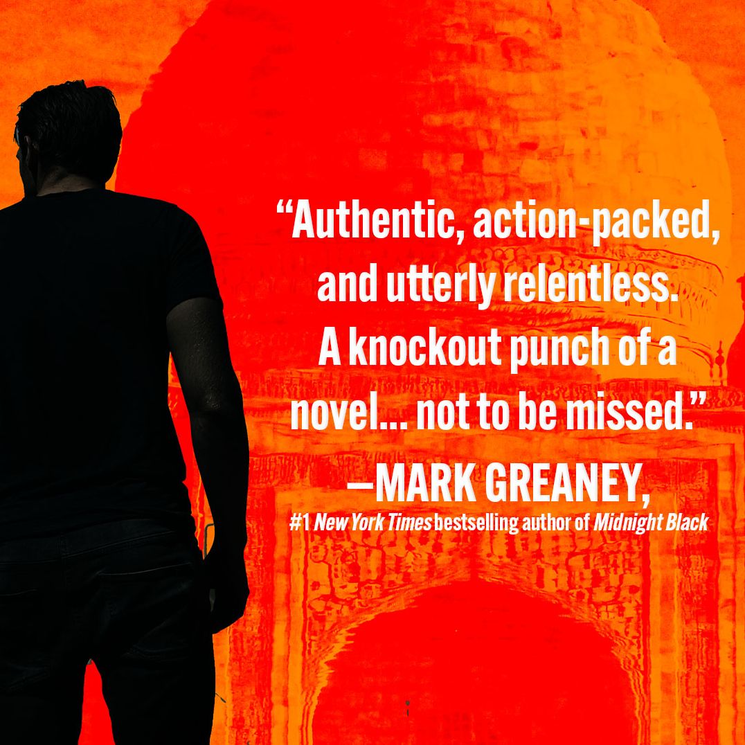 Into the Gray Zone (Pike Logan Series #19)