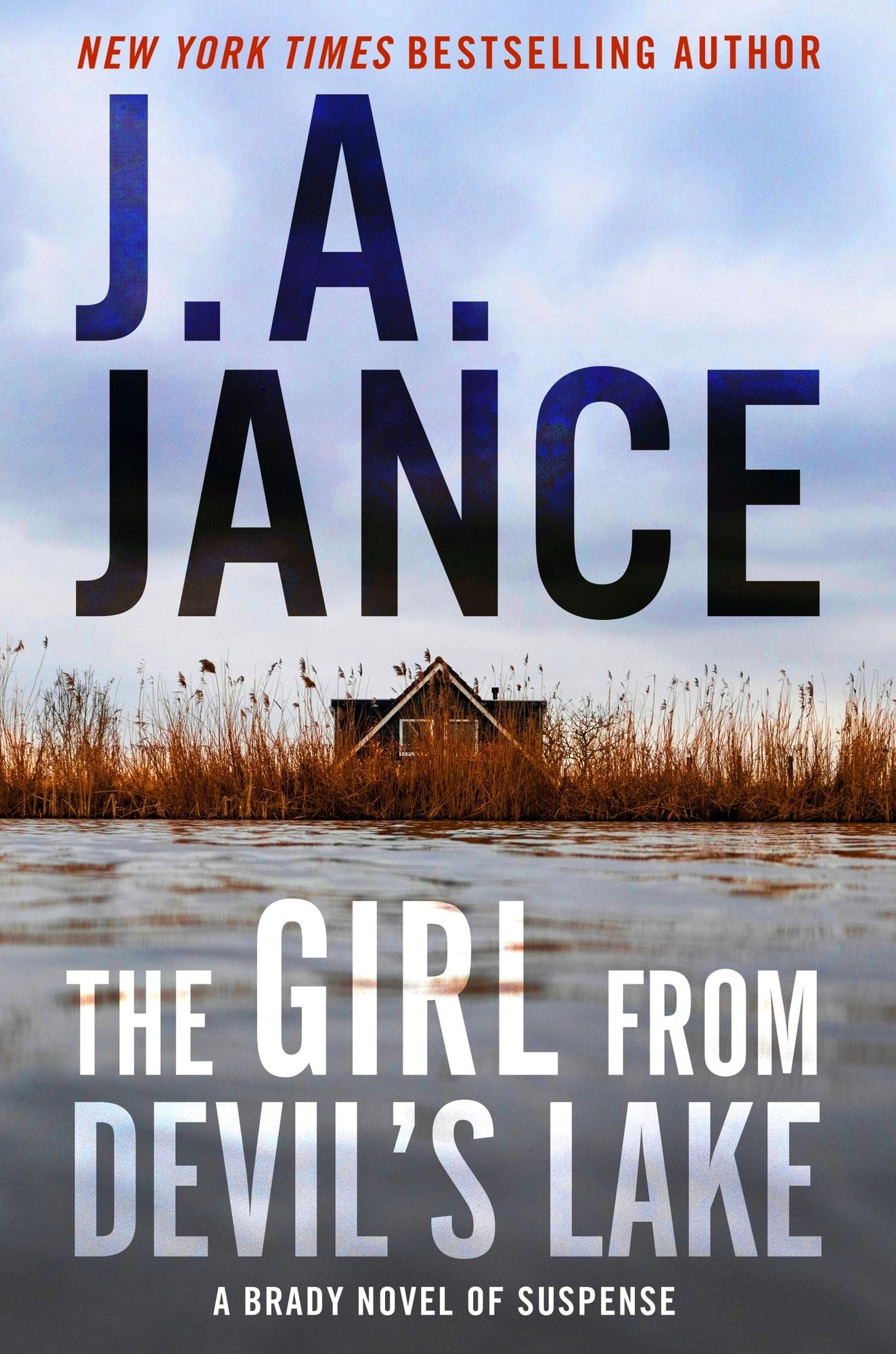 The Girl from Devil's Lake: A Brady Novel of Suspense