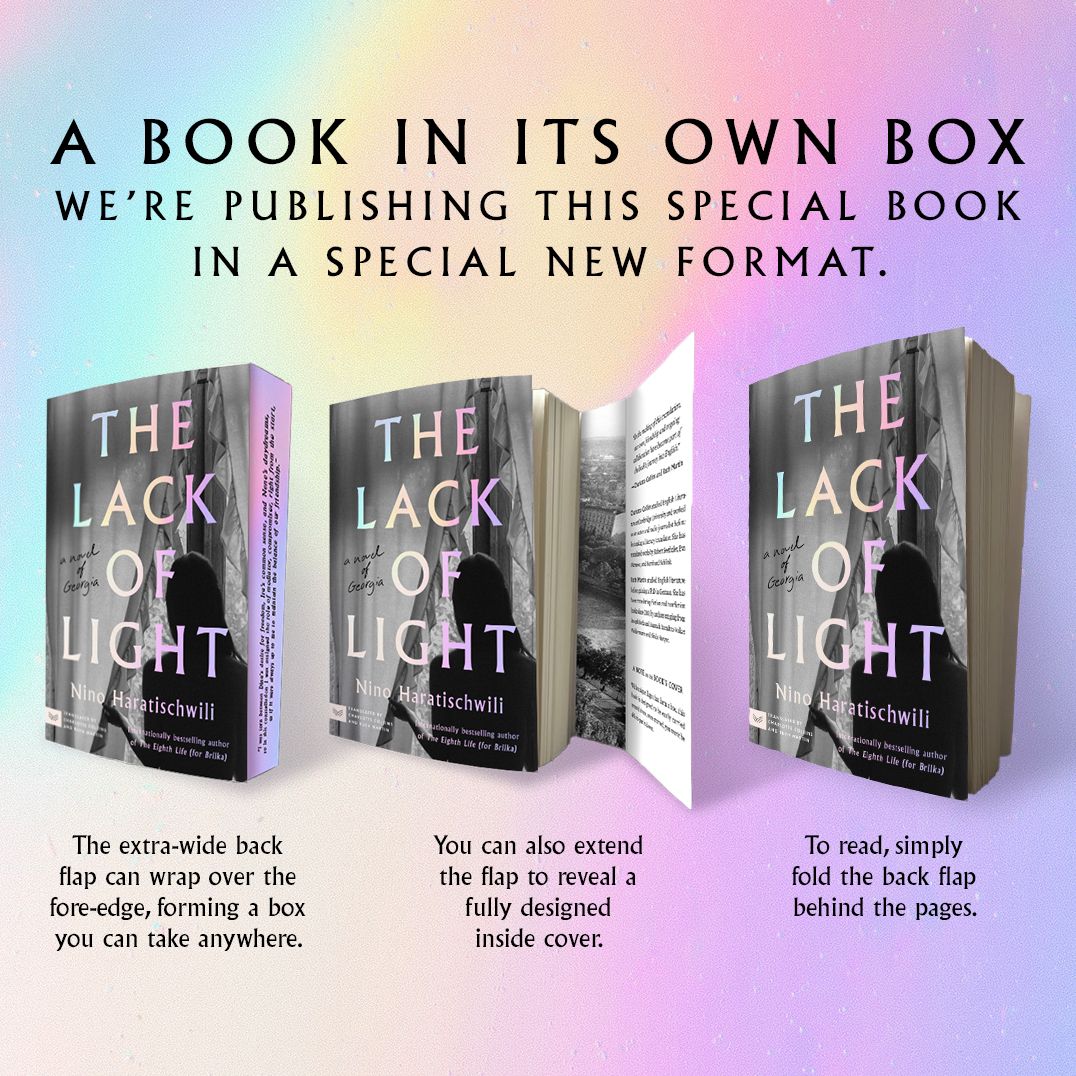 The Lack of Light: A Novel of Georgia