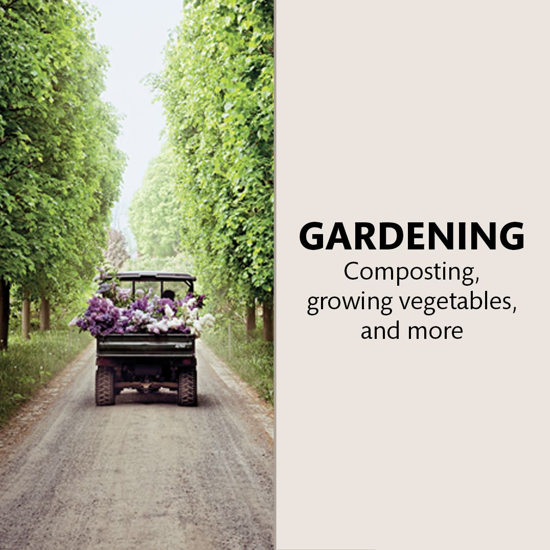 The Martha Way: Essential Principles for Mastering Home and Living