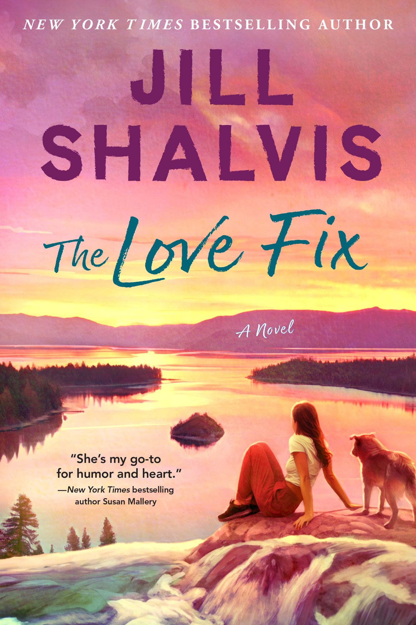 The Love Fix: A Novel