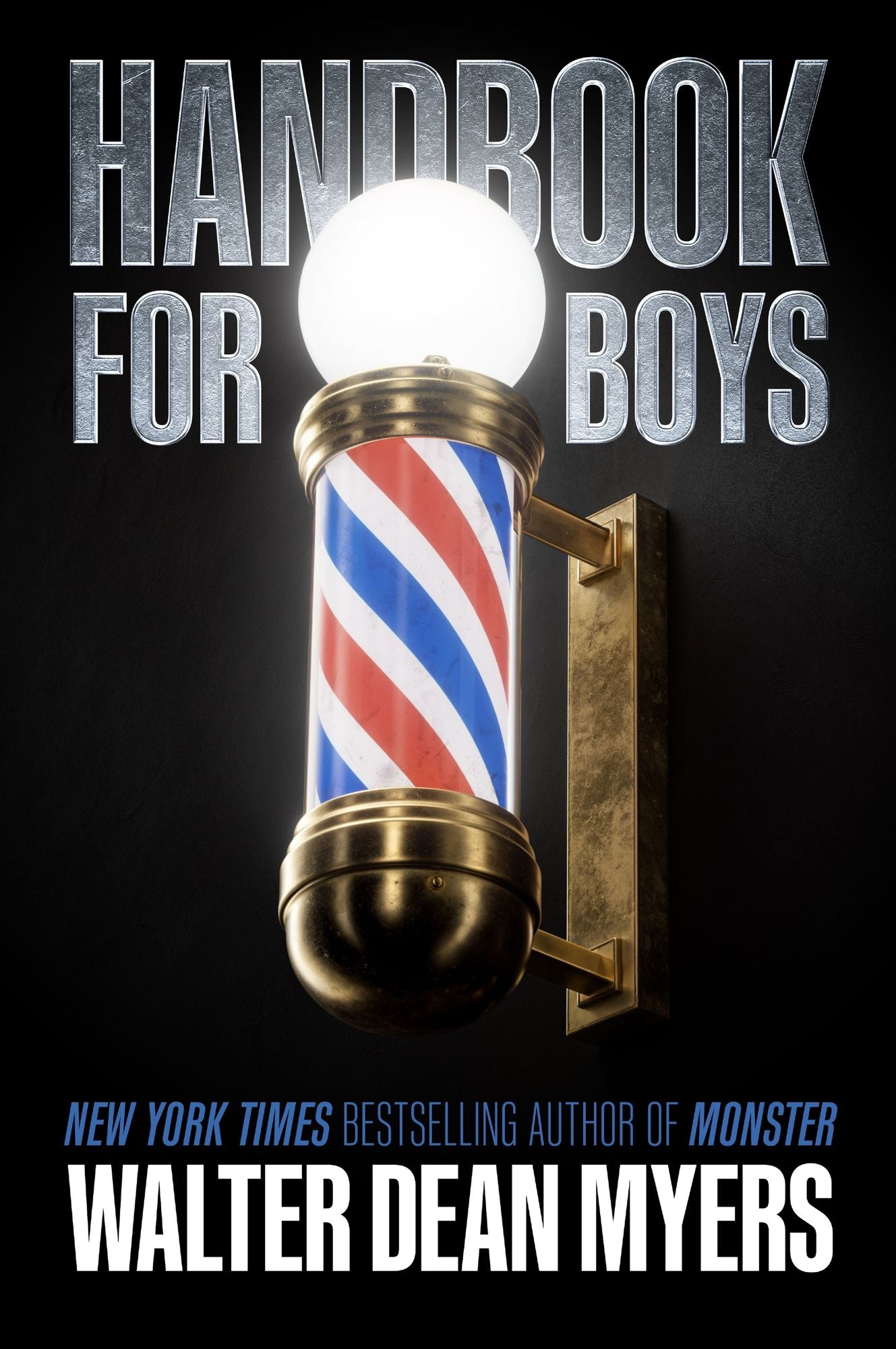 Handbook for Boys: A Novel