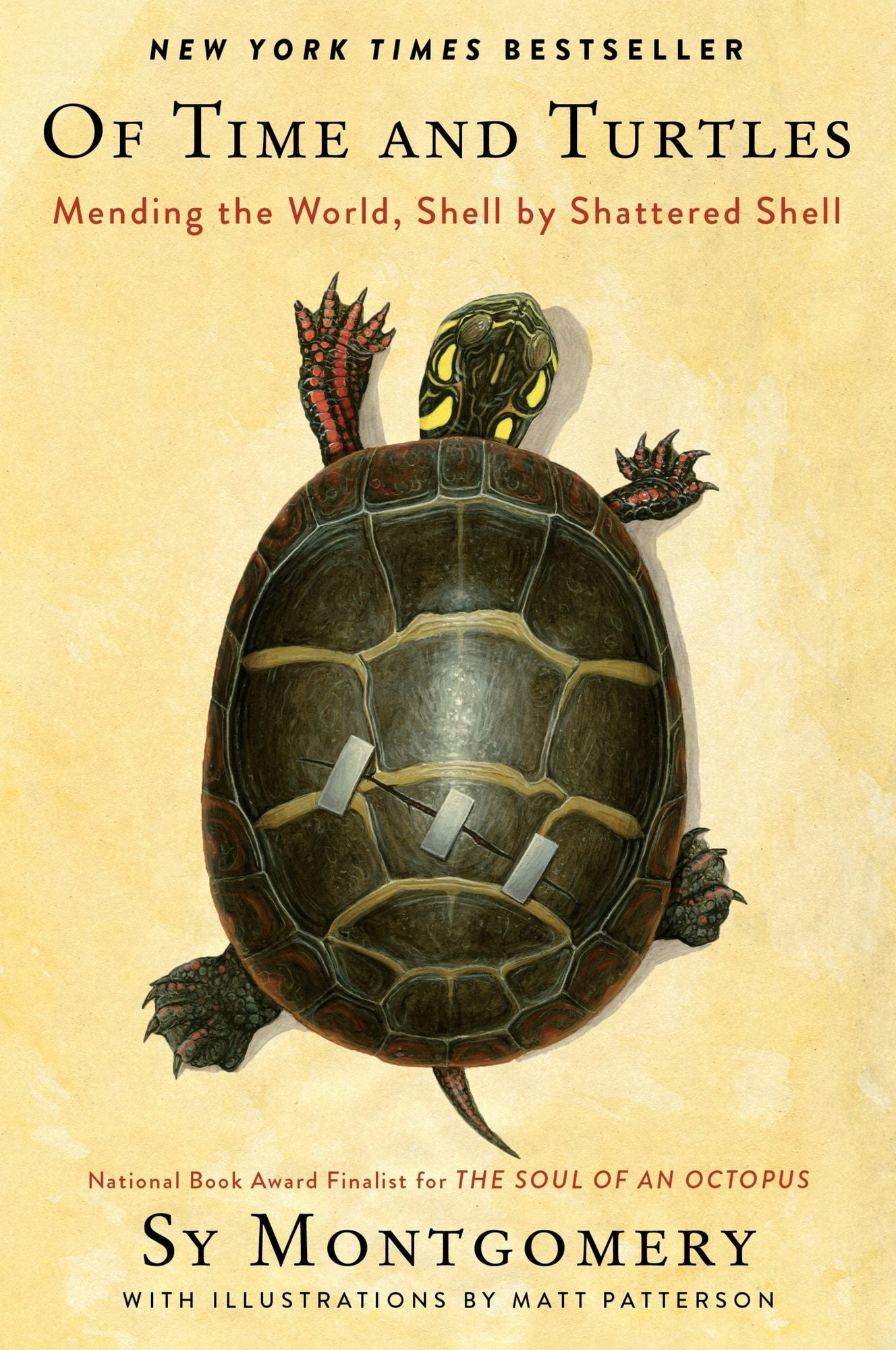 Of Time and Turtles: Mending the World, Shell by Shattered Shell