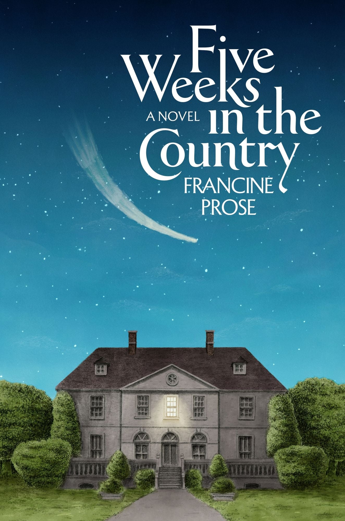 Five Weeks in the Country: A Novel